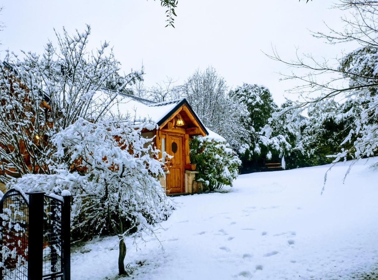 Blue Bird House Chalet *