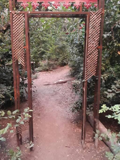Carreta De Cuento De Hadas *