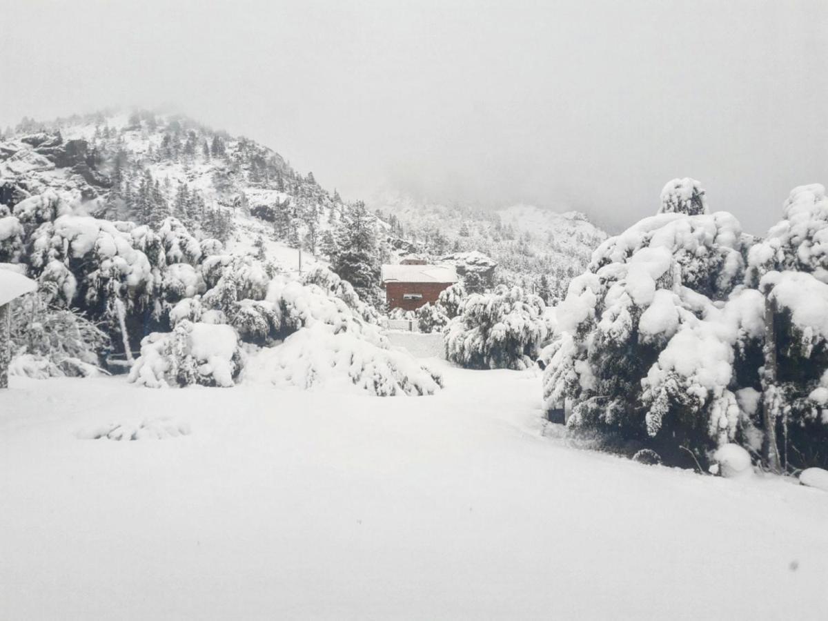 Cosmo - Solo Se Toma La Reserva Si Escribis Por Whatsapp Y Con Seña Previa- San Carlos de Bariloche
