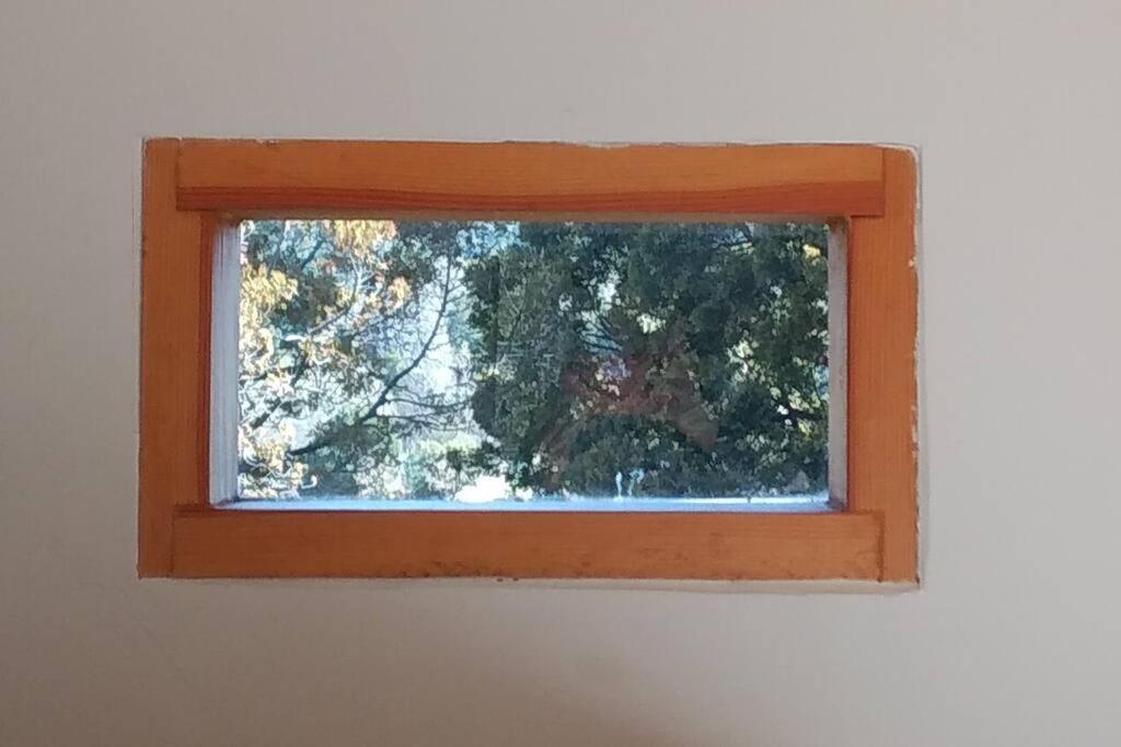 Apartamento Buena Vista *