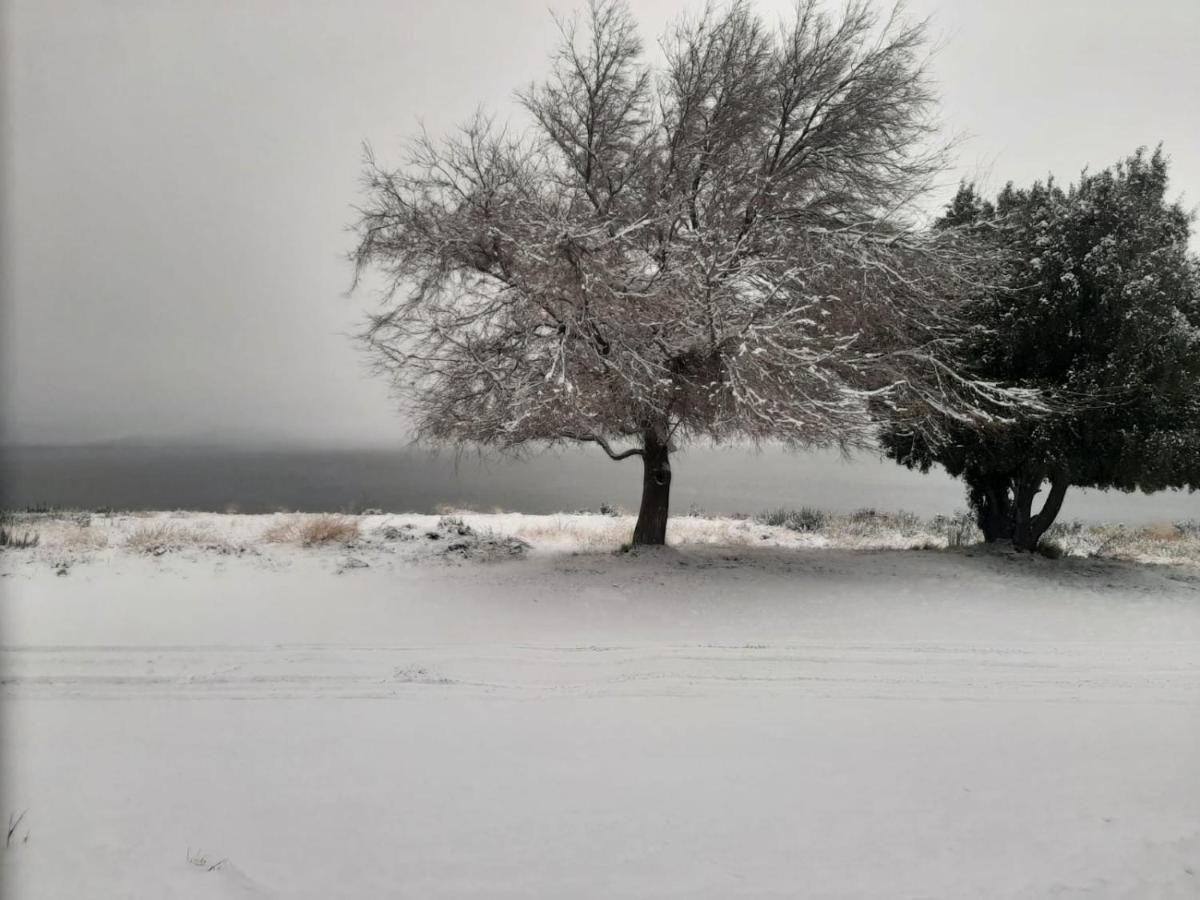 Hermosa A Metros Del San Carlos de Bariloche
