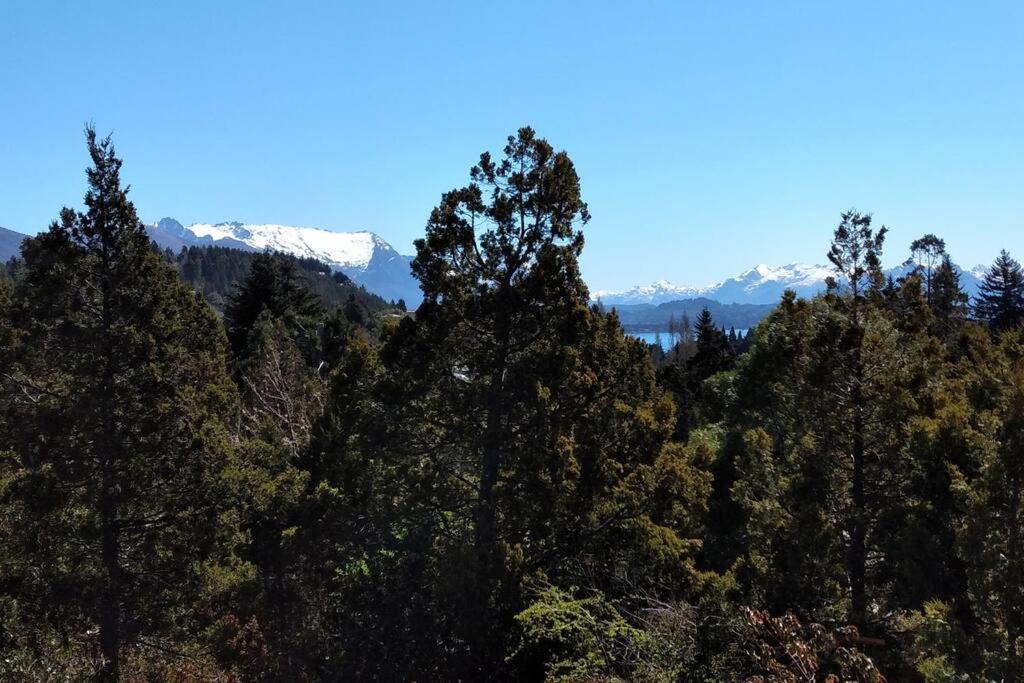 Buena Vista