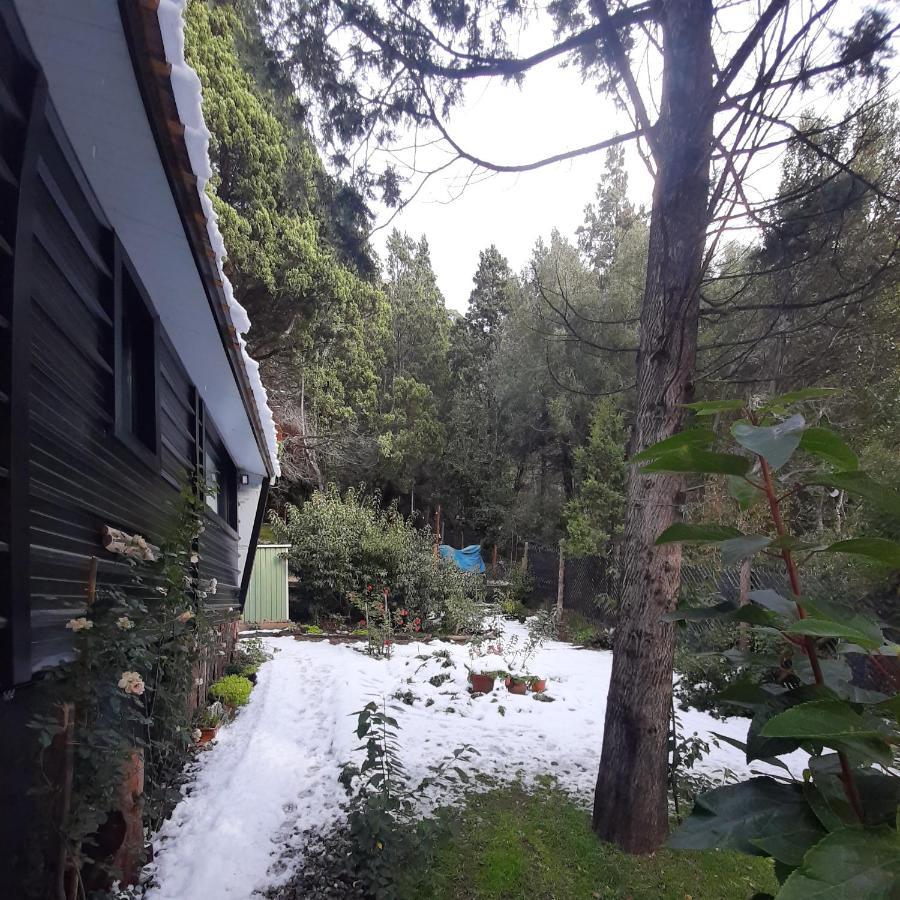 La Dorita De Montana * San Carlos de Bariloche