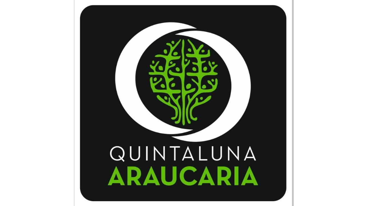 Araucaria Edificio Quinta Luna