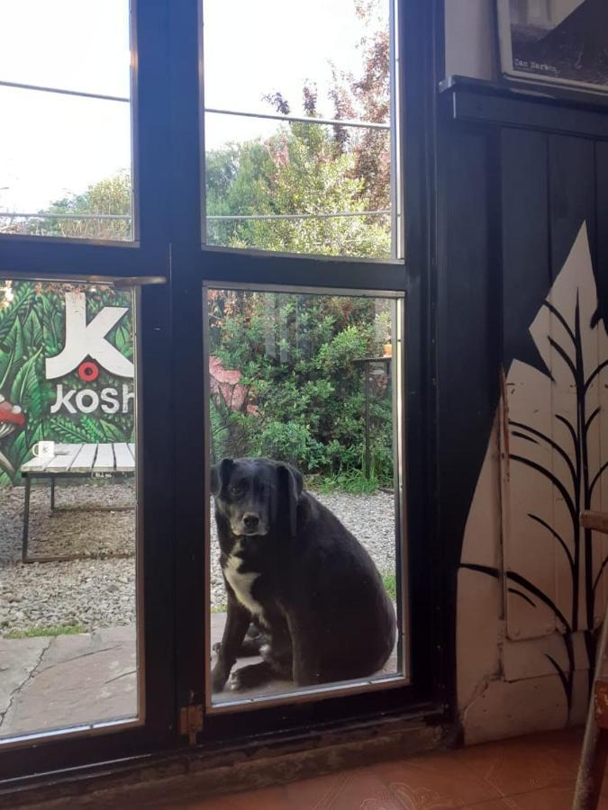 Kosh Hostal *