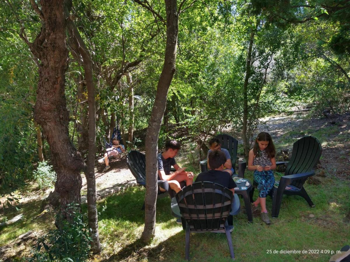 Cipreses San Carlos de Bariloche
