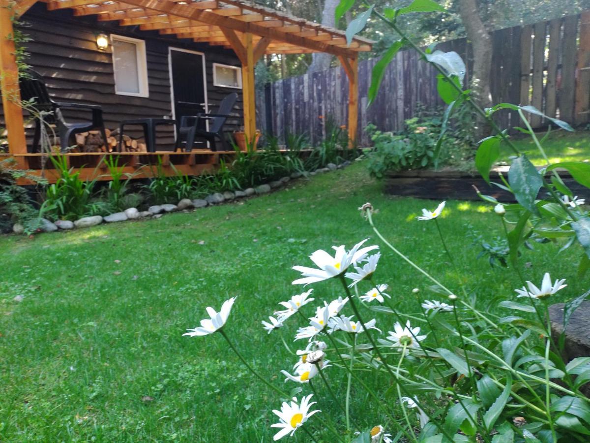 Apartamento Cabañita Del Bosque