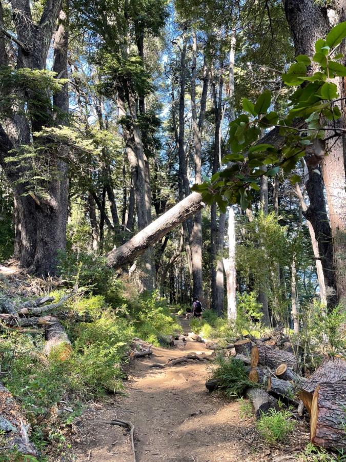 Apartamento Terraviva .patagonia San Carlos de Bariloche