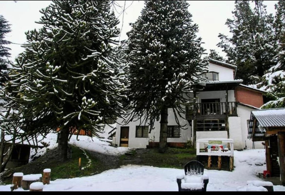 Monoambiente Centrico Con Hermoso Patio * San Carlos de Bariloche