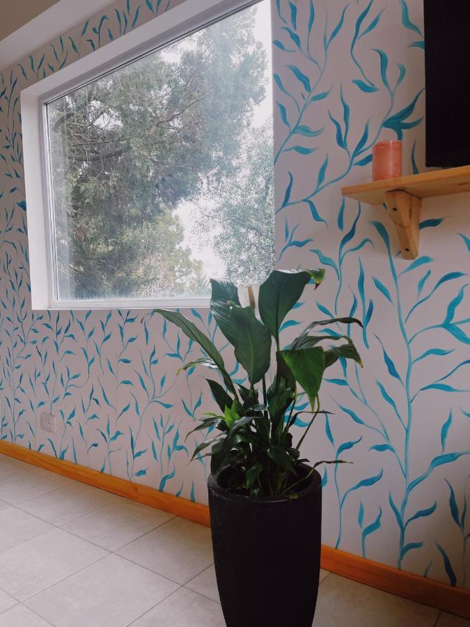 Apartment Fenix San Carlos de Bariloche