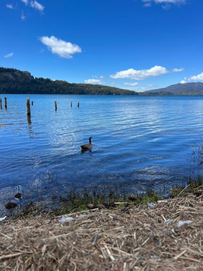 Amazing On The Shore Of Moreno H58 By Bariloche Chalet *