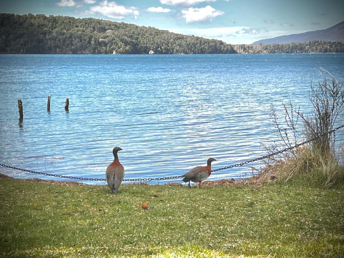 Amazing On The Shore Of Moreno H58 By Bariloche * San Carlos de Bariloche