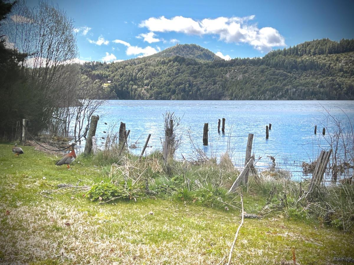 Amazing On The Shore Of Moreno H58 By Bariloche Chalet *
