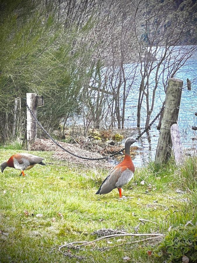 Amazing On The Shore Of Moreno H58 By Bariloche *