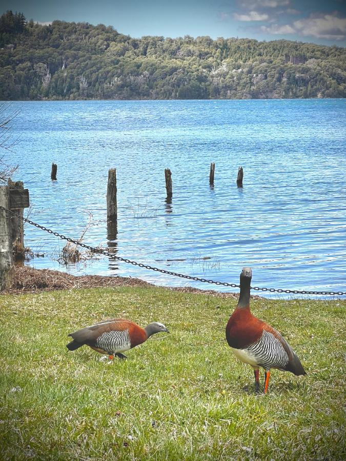 Amazing On The Shore Of Moreno H58 By Bariloche San Carlos de Bariloche
