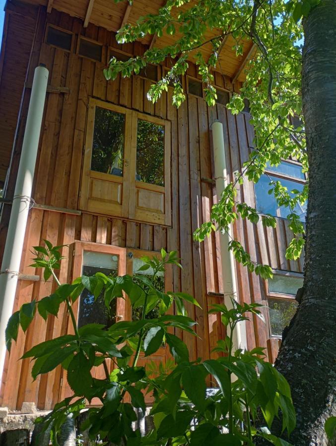 Casita En El Bosque * San Carlos de Bariloche