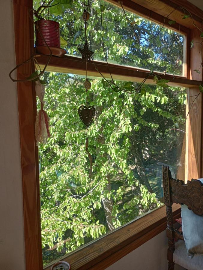 Casita En El Bosque Chalet *