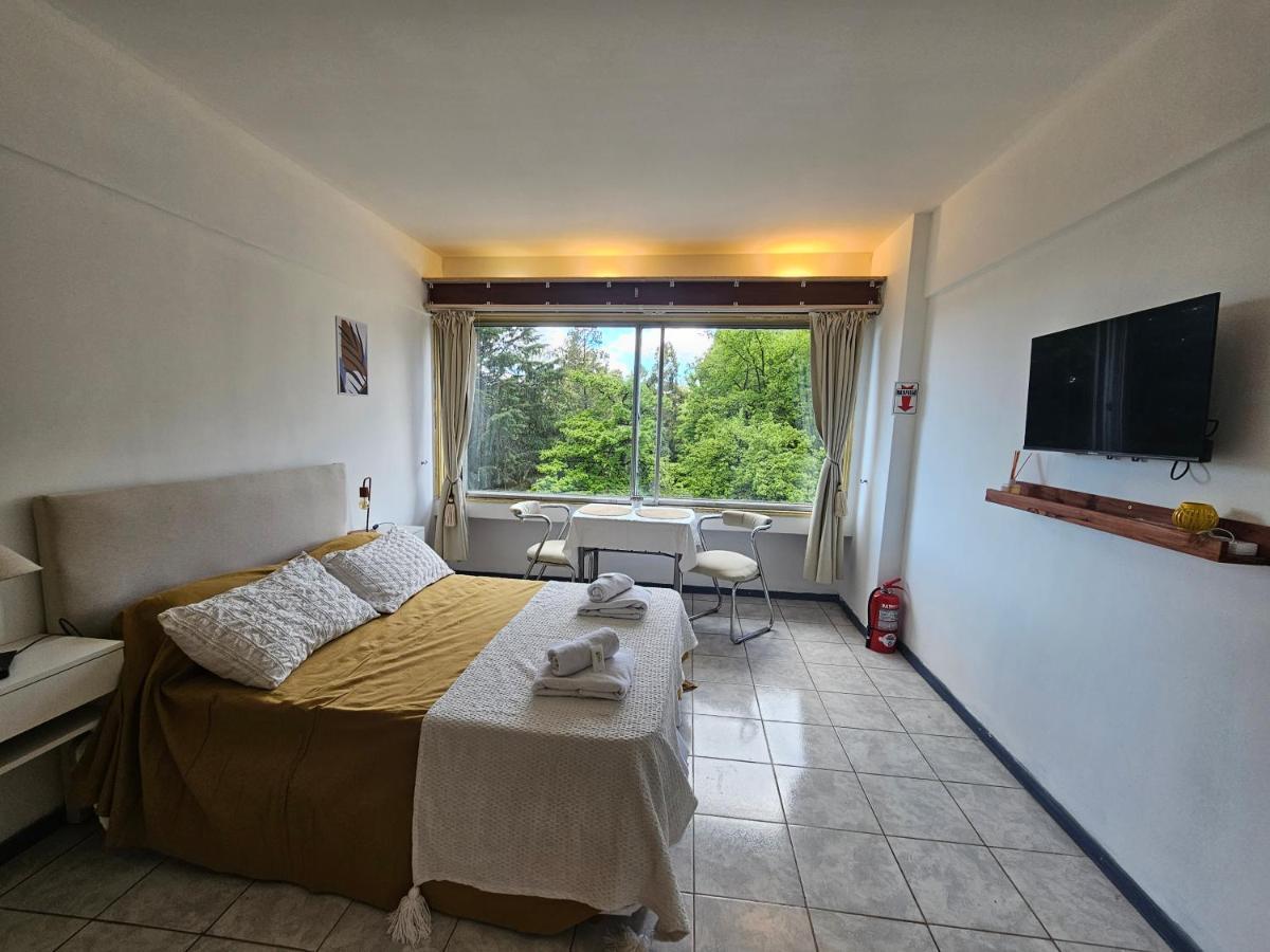 Apartment Studio Vista Al Lago *