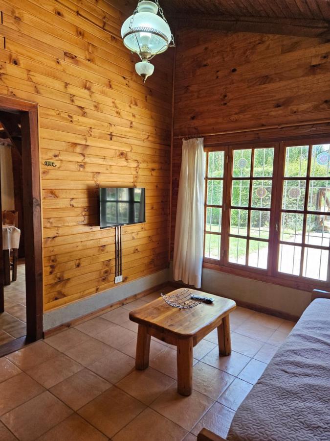 Alerce San Carlos de Bariloche