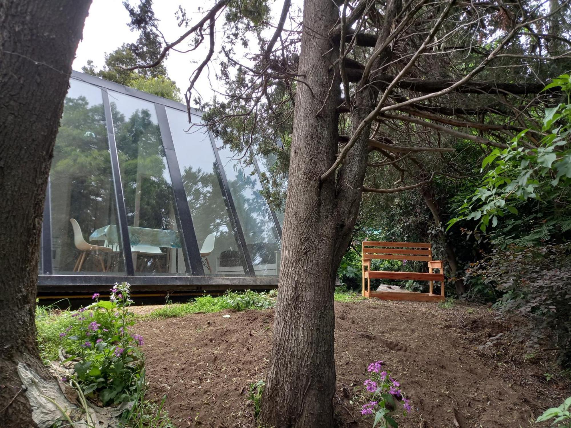 Casa Inmersa En El Bosque Chalet