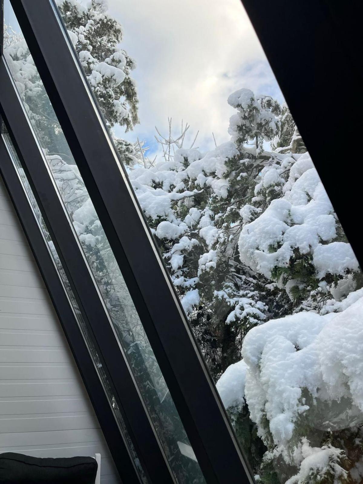 Casa Inmersa En El Bosque Chalet San Carlos de Bariloche