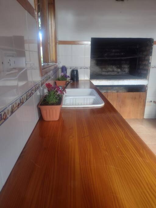 Luminosa Con Jardin, Zona Tranquila Apartment *