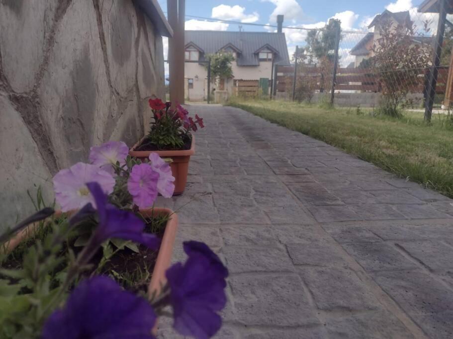 Apartment Luminosa Con Jardin, Zona Tranquila *