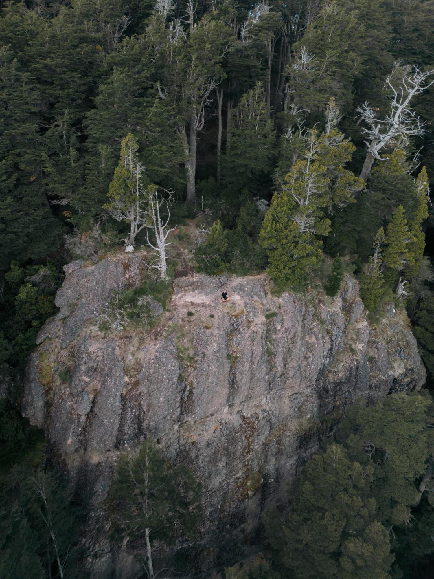 El Bosque