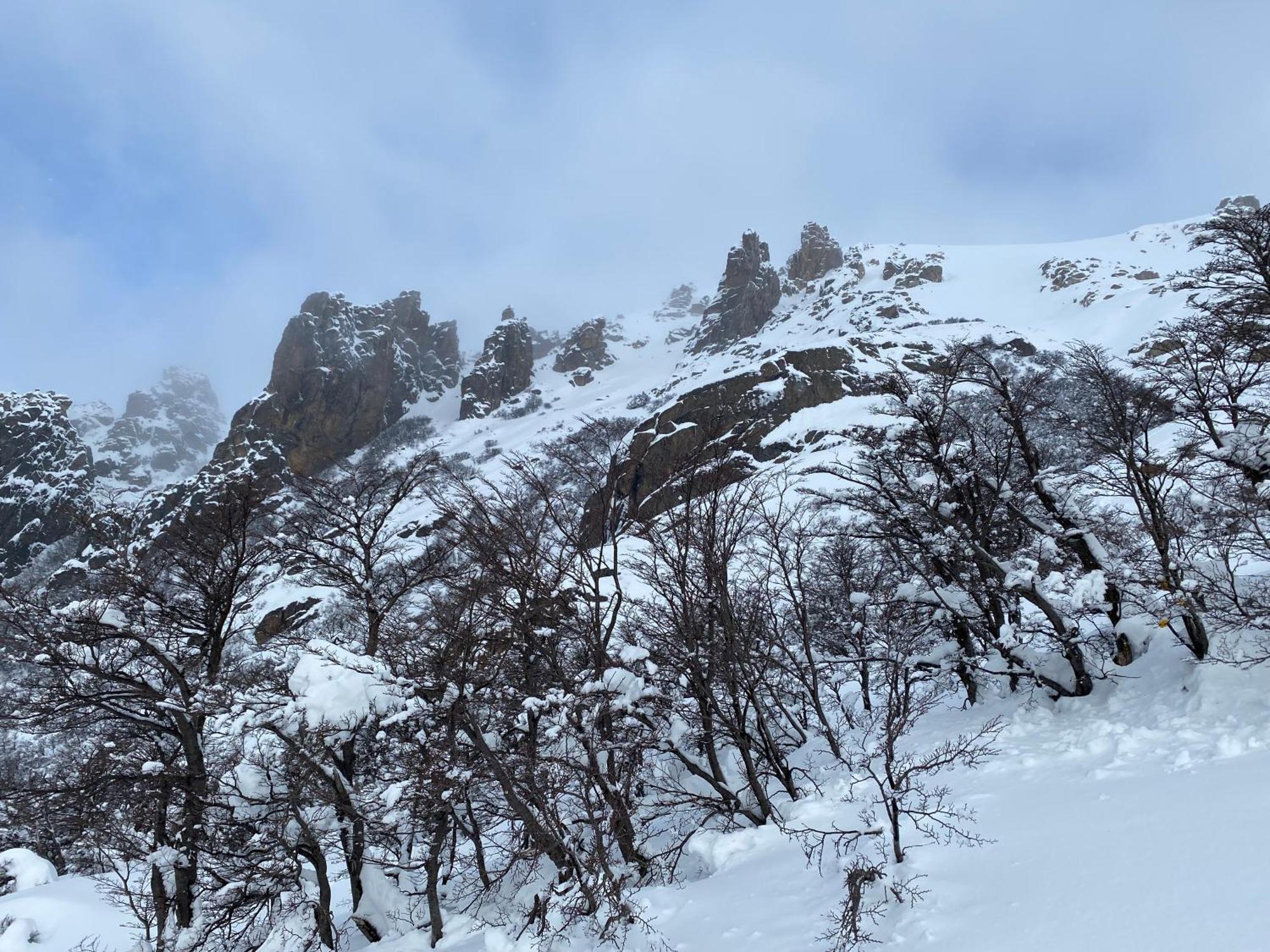 Bariloche-northern Patagonia Chalet *