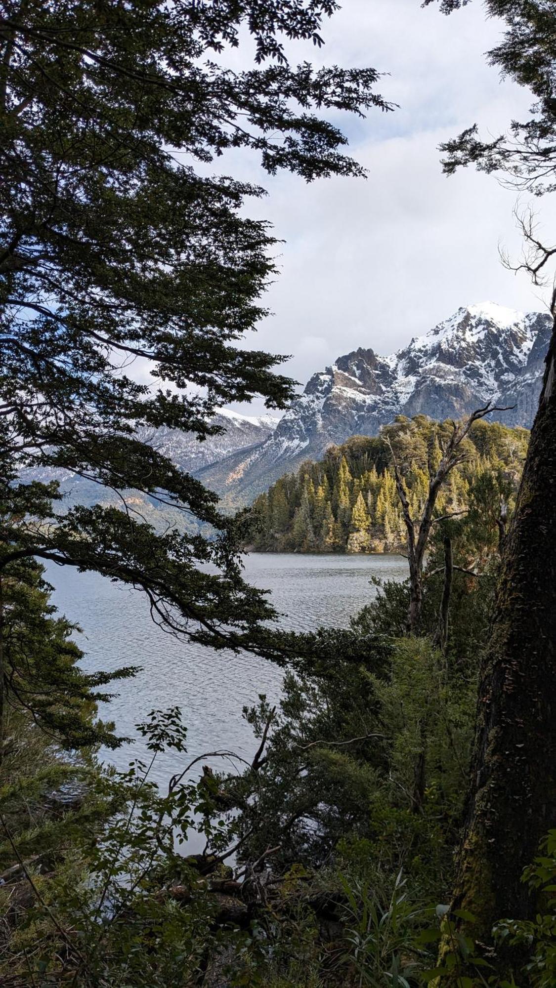 El Bosque San Carlos de Bariloche