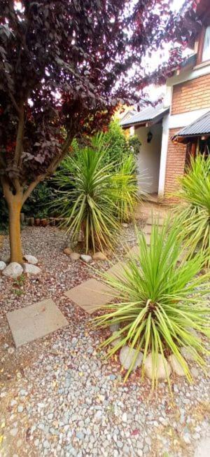 Pichincha Bariloche Apartamento San Carlos de Bariloche