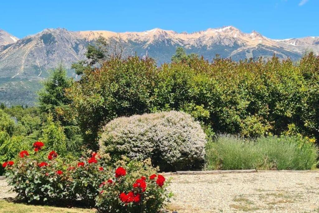 Imponente Vista Hacia El Bosque Nevado Villa *