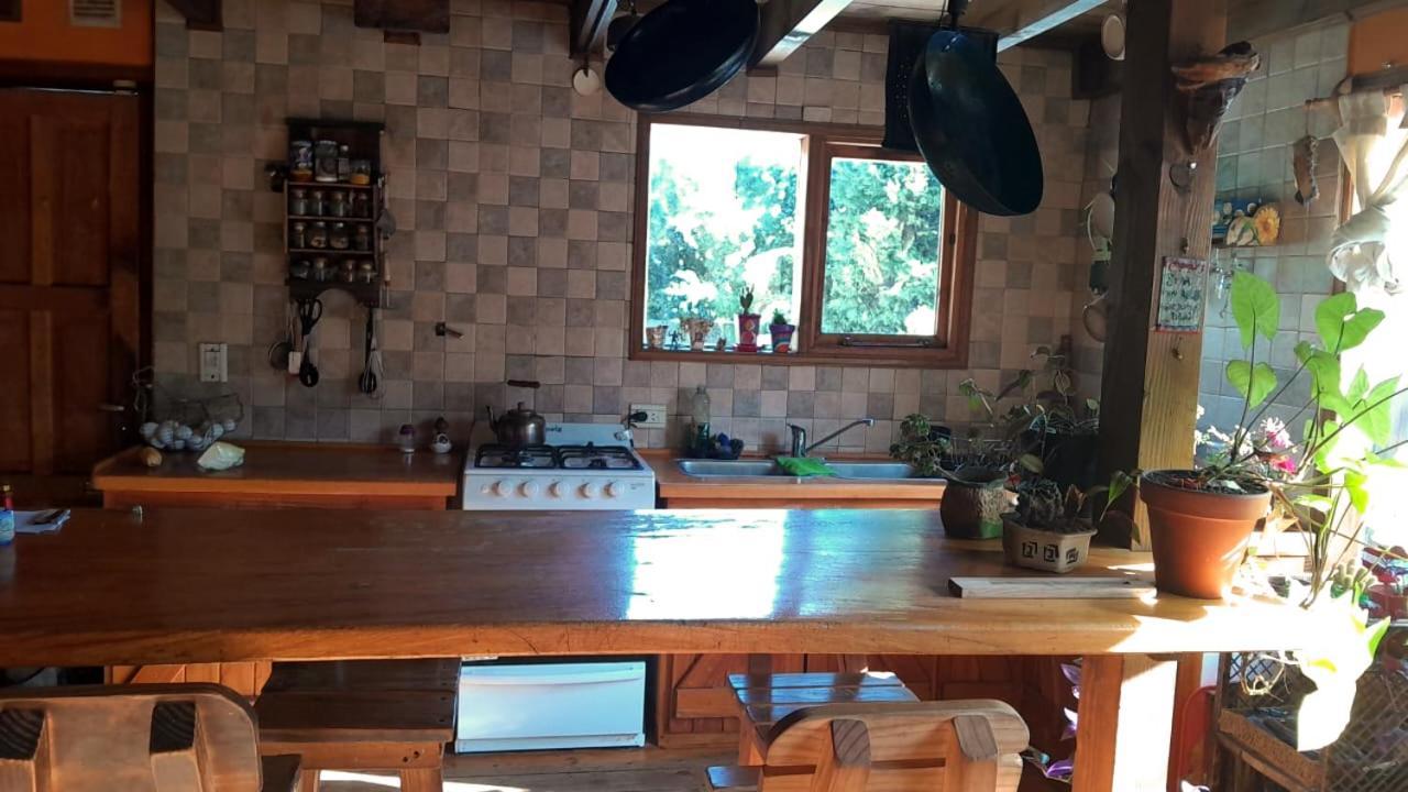 Coihues * San Carlos de Bariloche