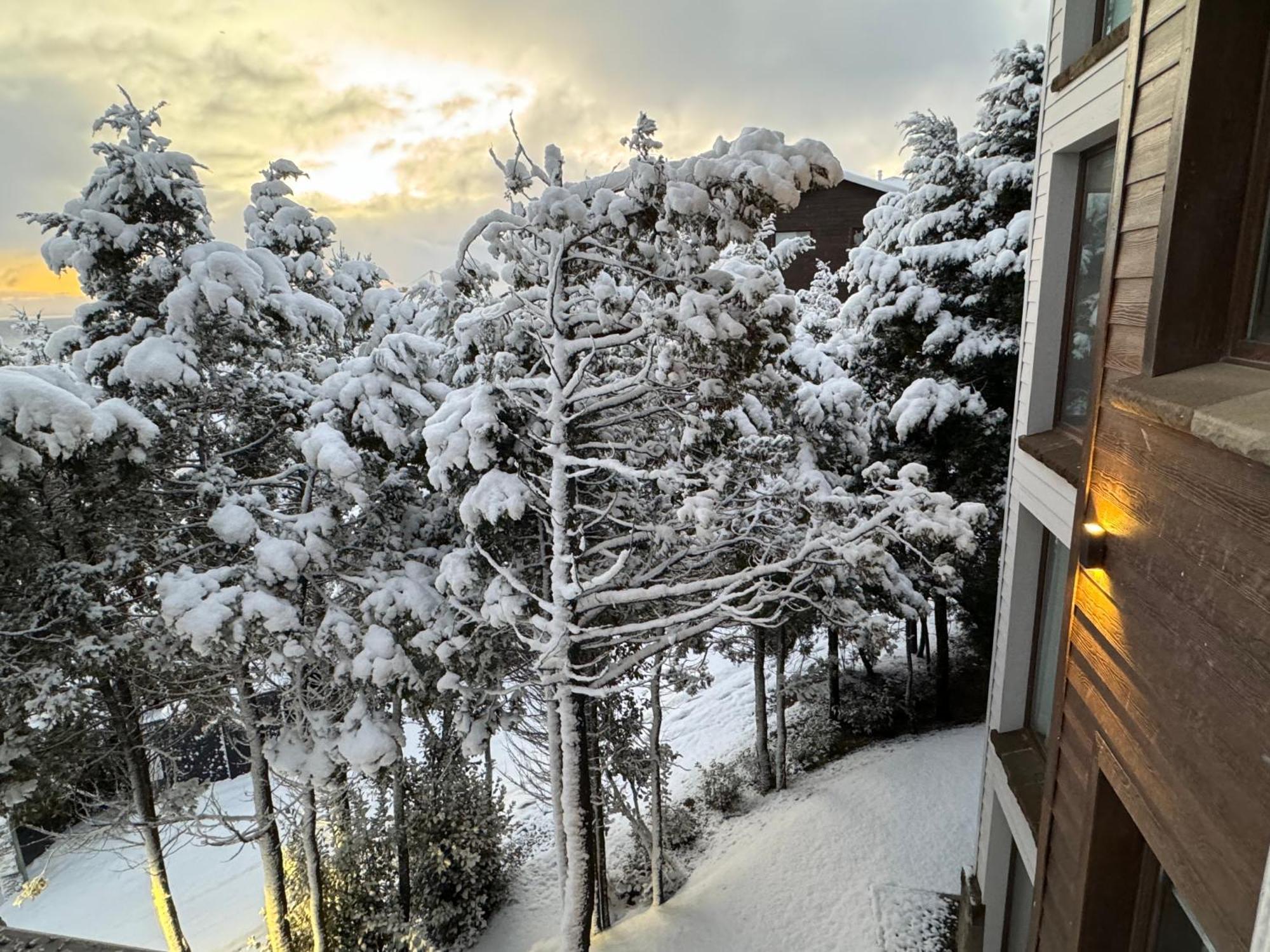 Departamento Ohana -increible Vista Y Calidez- San Carlos de Bariloche