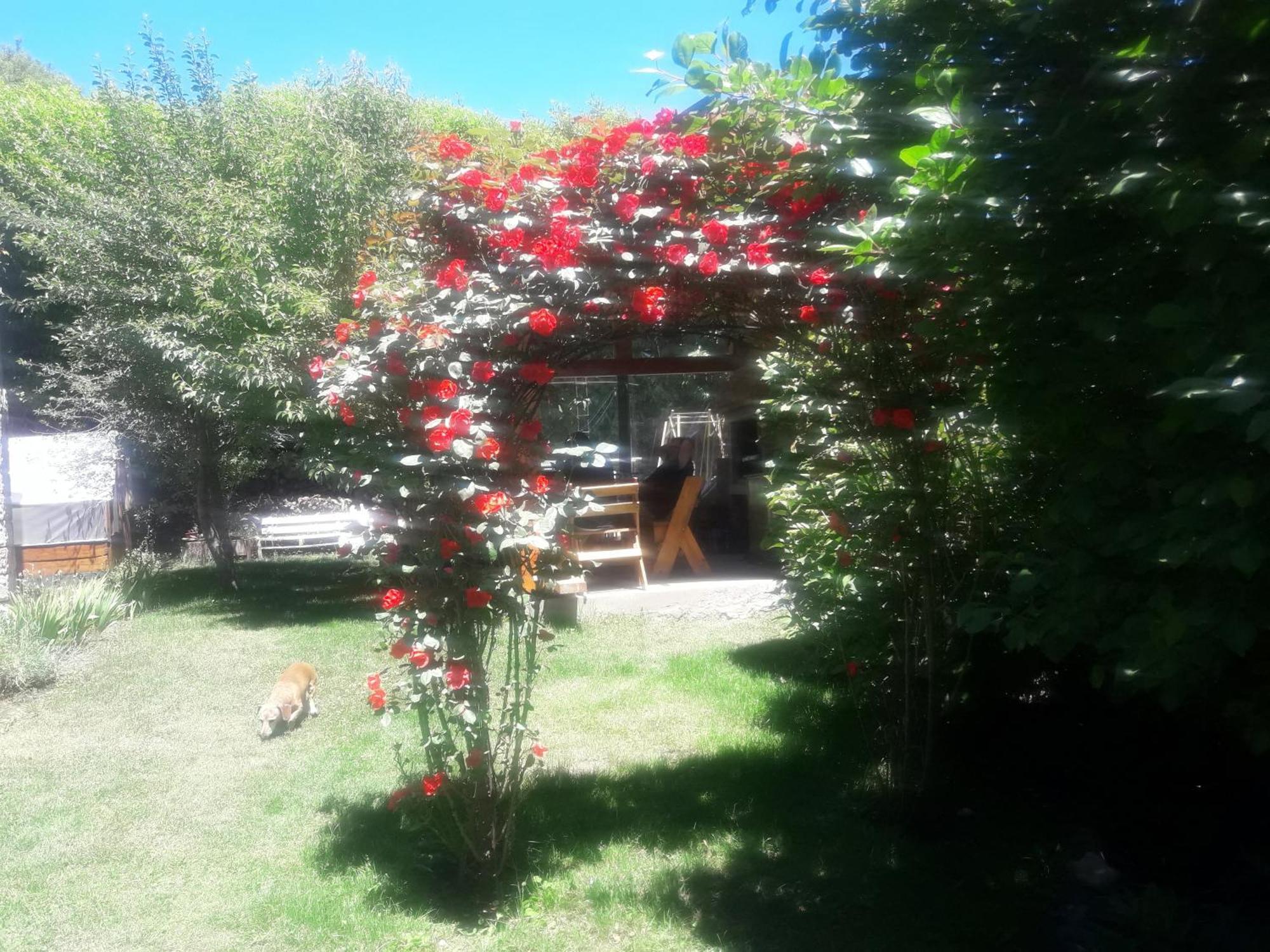 Portal De Andes Bariloche Apartamento