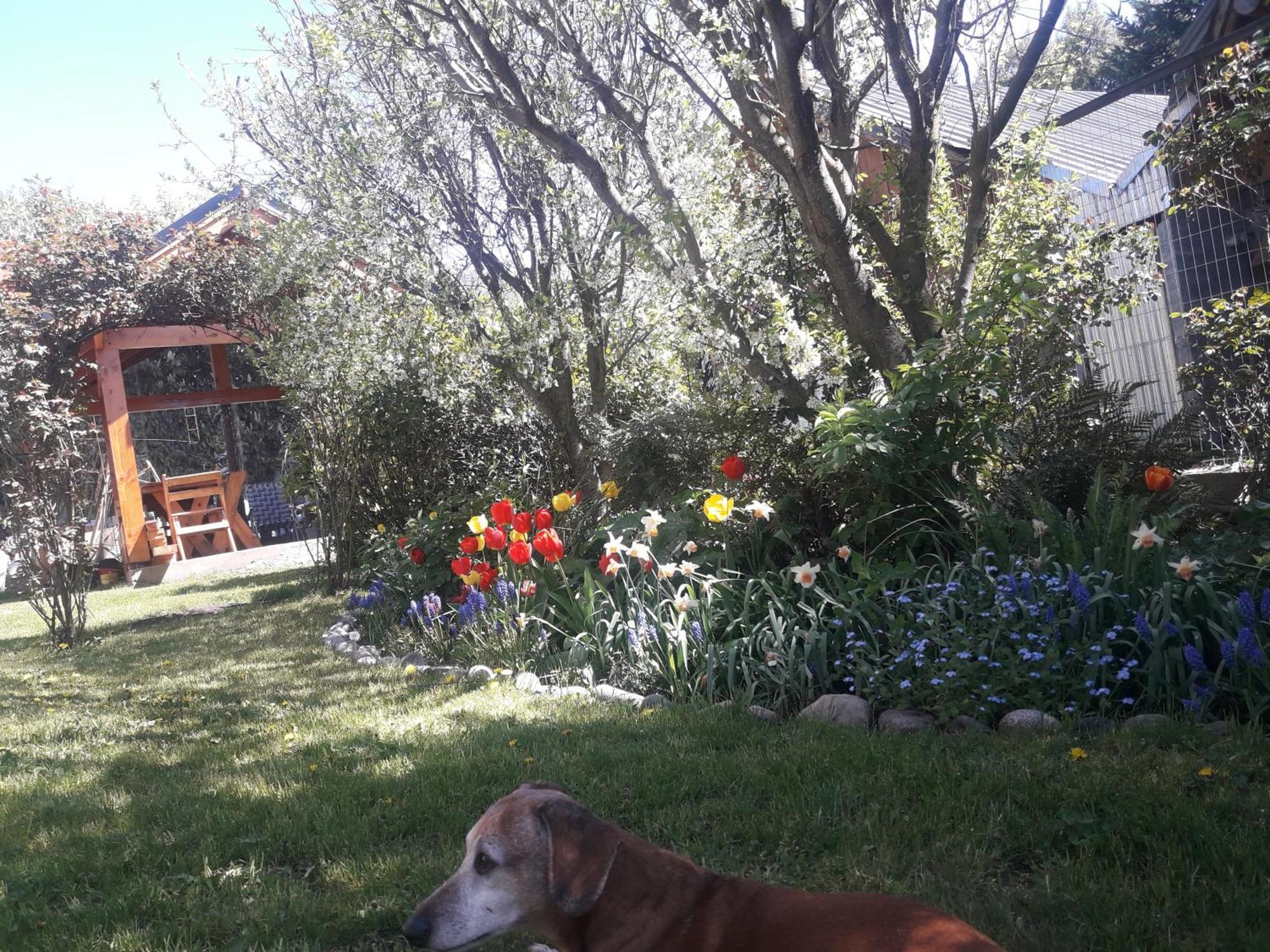 Portal De Andes Bariloche Apartamento