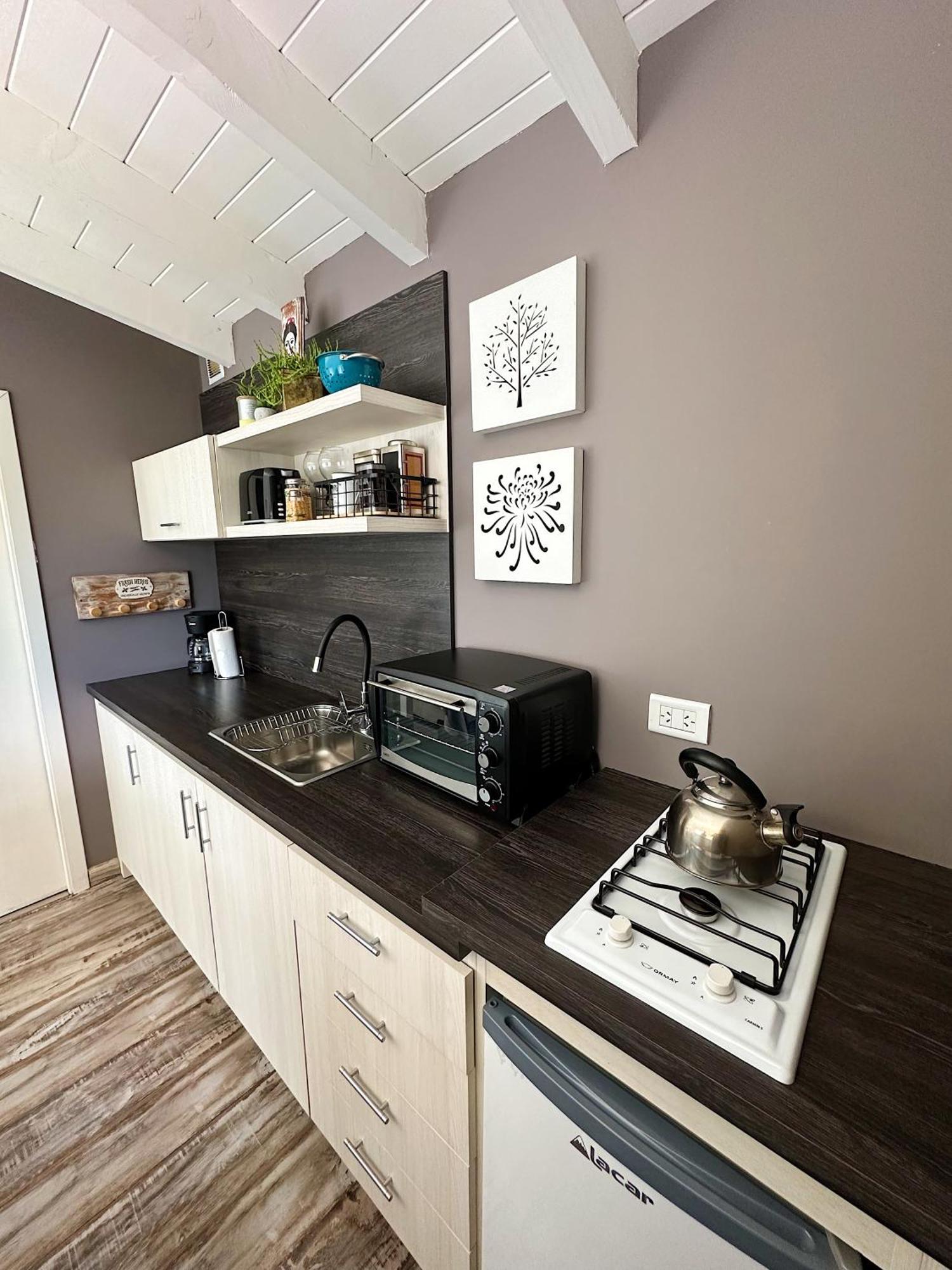 Apartamento Moderno Monoambiente Botanico 1