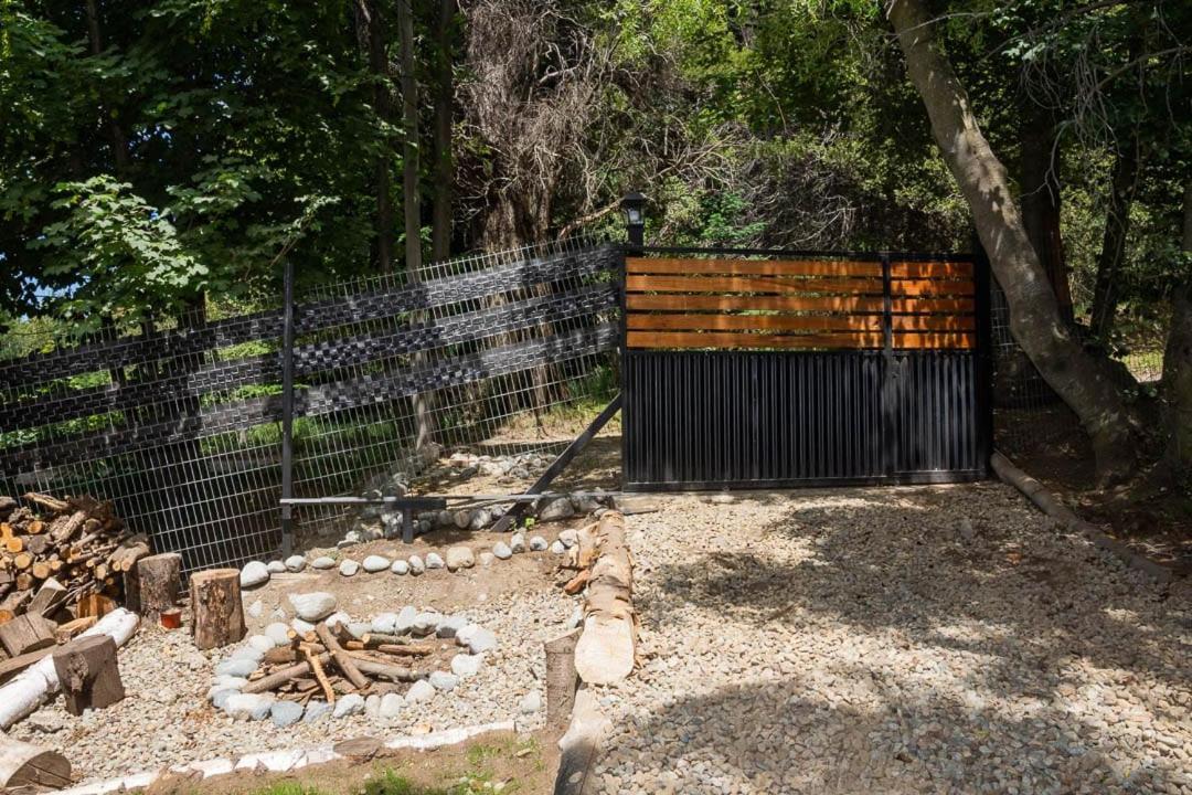 El Rincon, En El Bosque De *