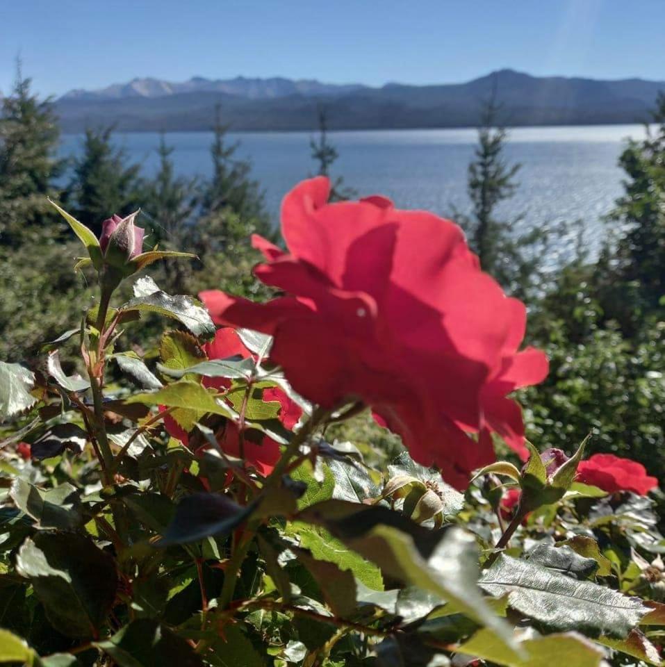 Azul Bariloche Apartamento *