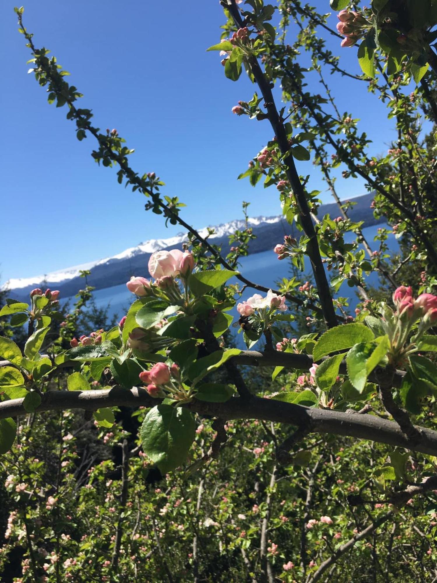 Apartamento Azul Bariloche San Carlos de Bariloche