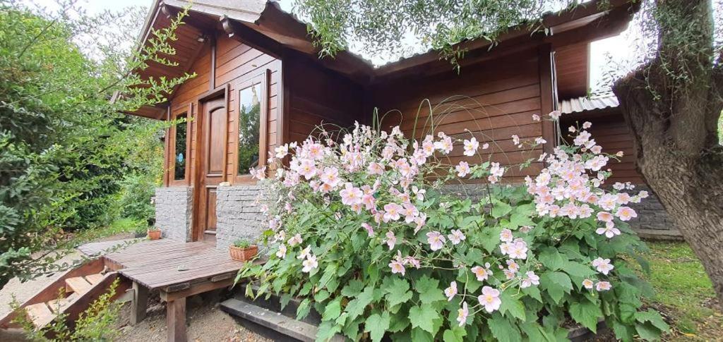 Casas Huron!! Chalet