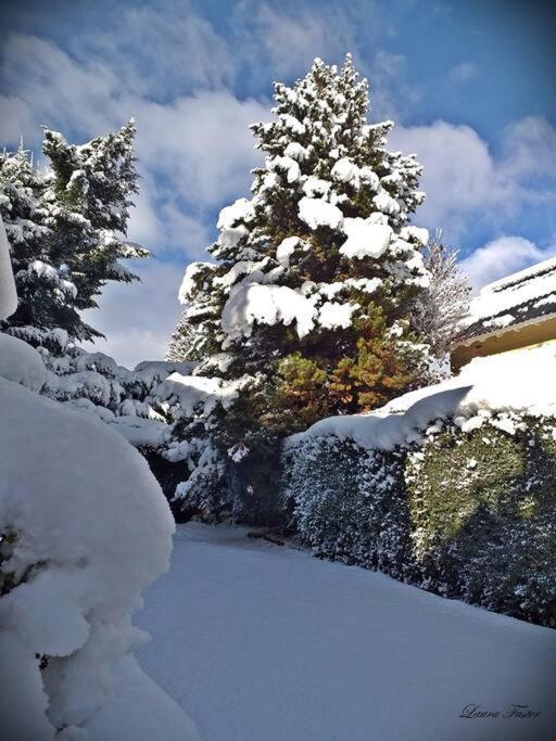 Chalet Aires Patagonicos 3 Ambientes San Carlos de Bariloche