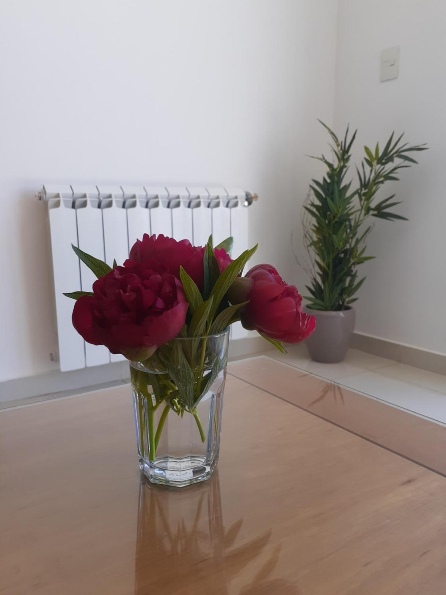 Lago1220 Apartamento *