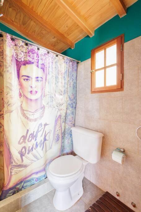Chalet Casa Montana - Melipal Loft