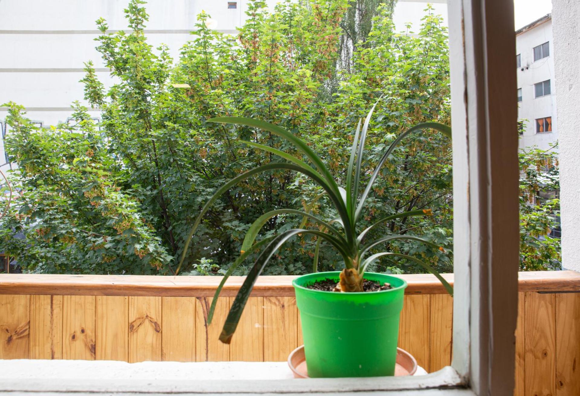 Apartamento Depto Turistico Centro San Carlos de Bariloche