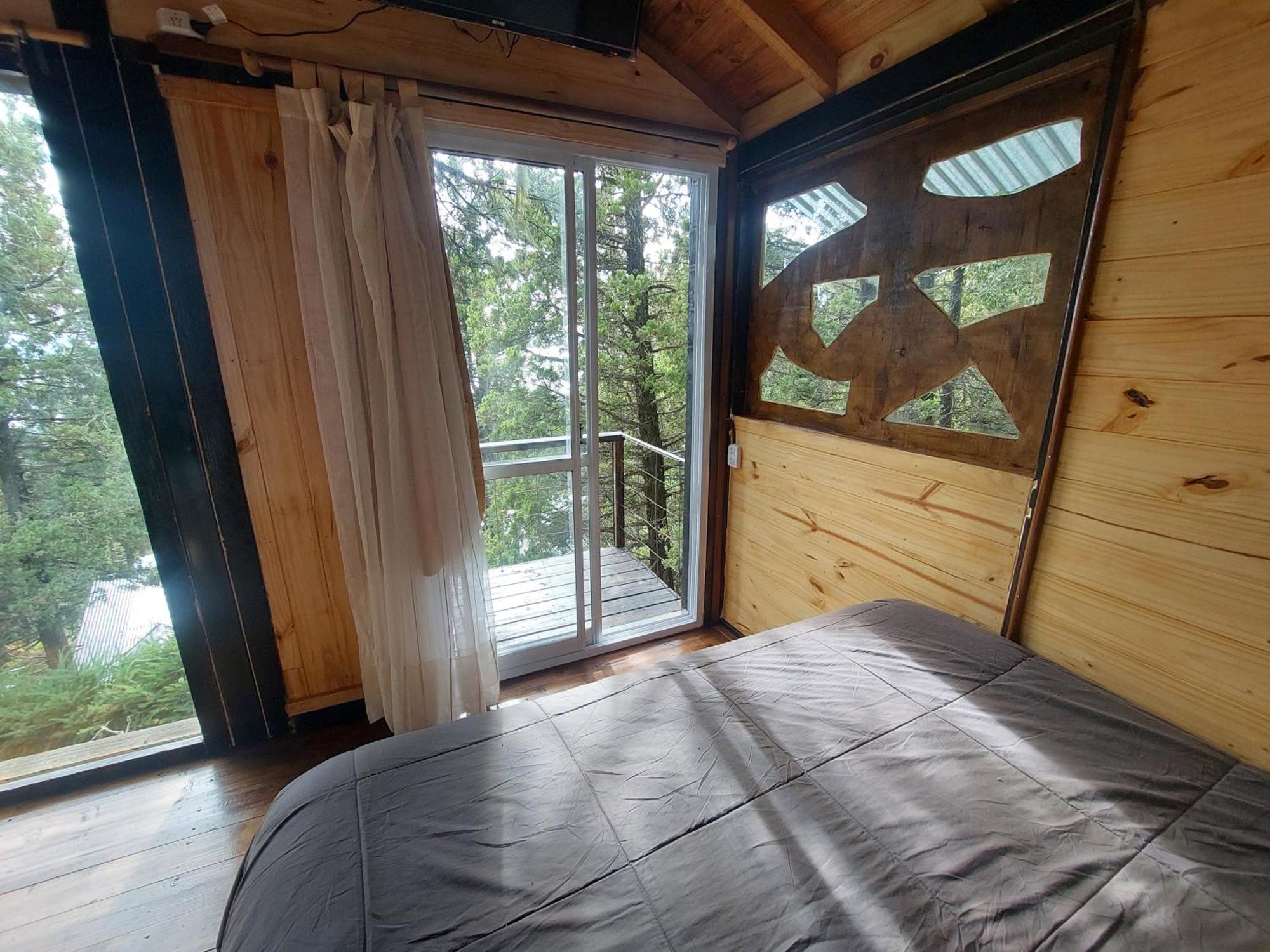Casita Moderna En El Bosque Chalet