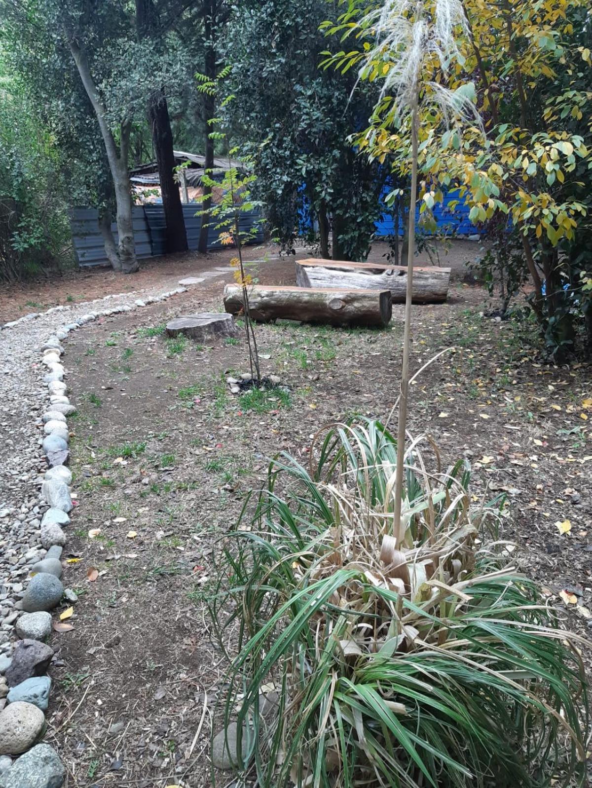 Casita Azul *