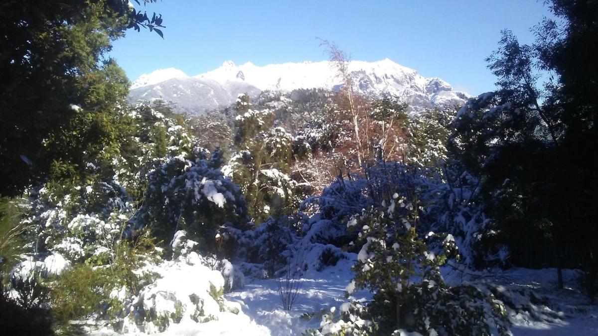 De Luz, Flores Y Montana