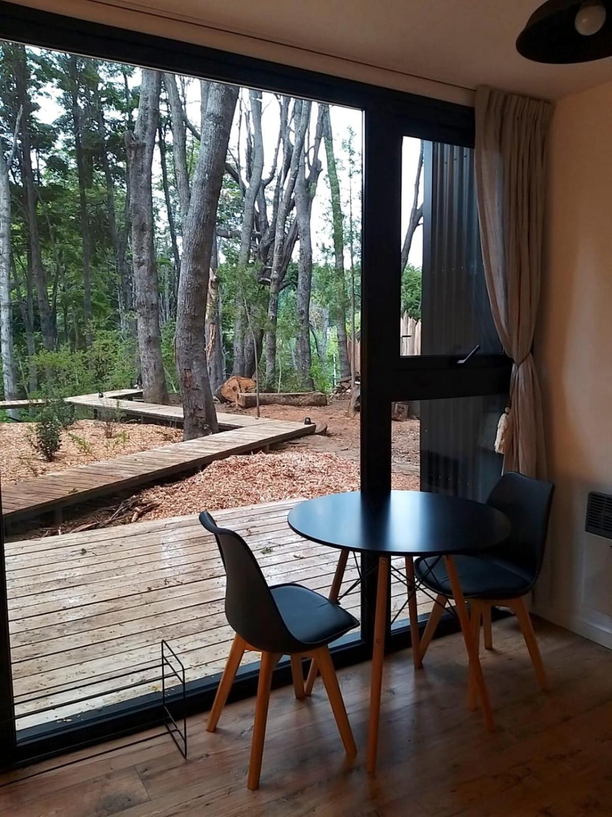 Bosque Cipreses Sur *