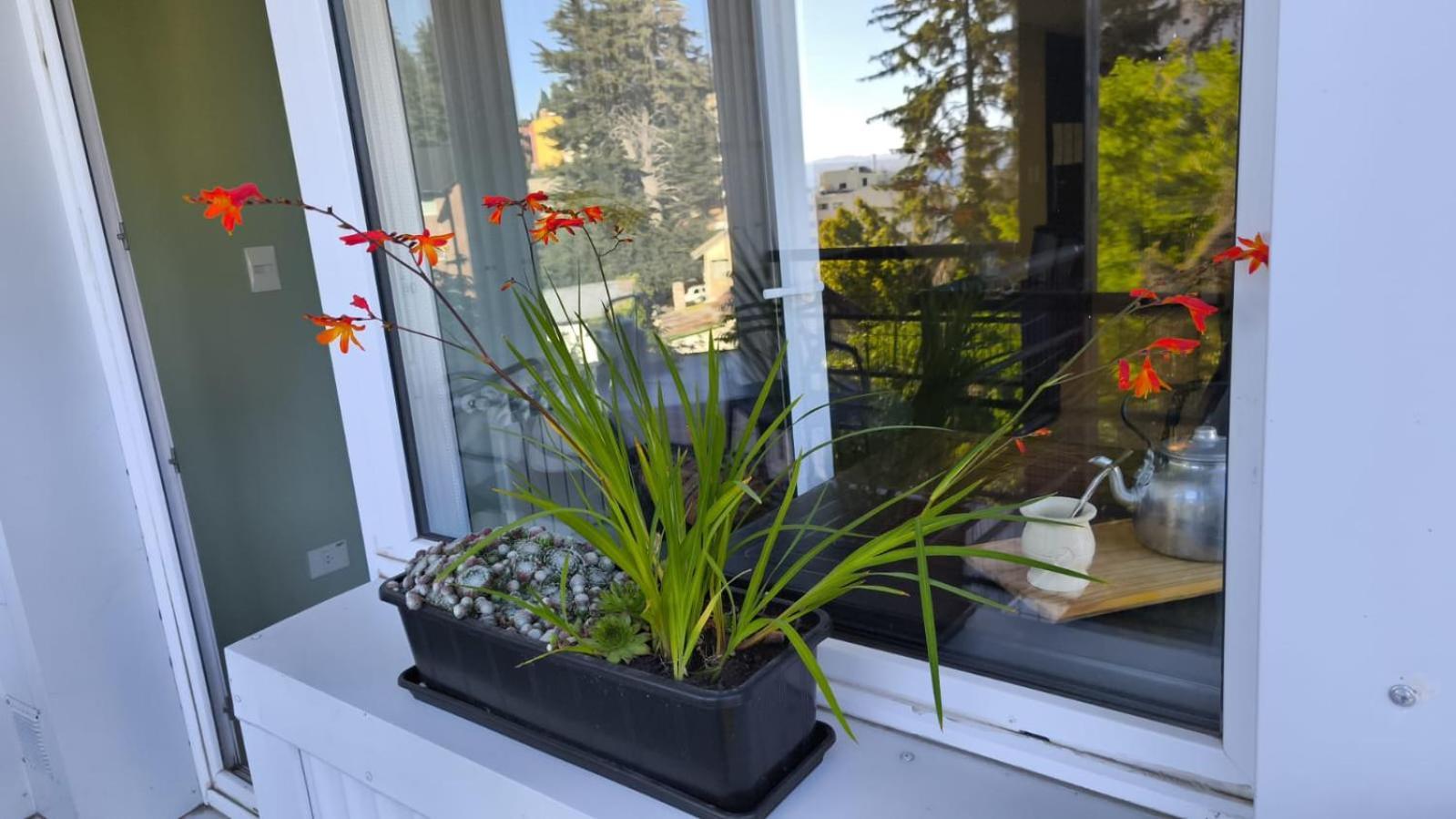 Vacaciones Sonadas Apartamento San Carlos de Bariloche